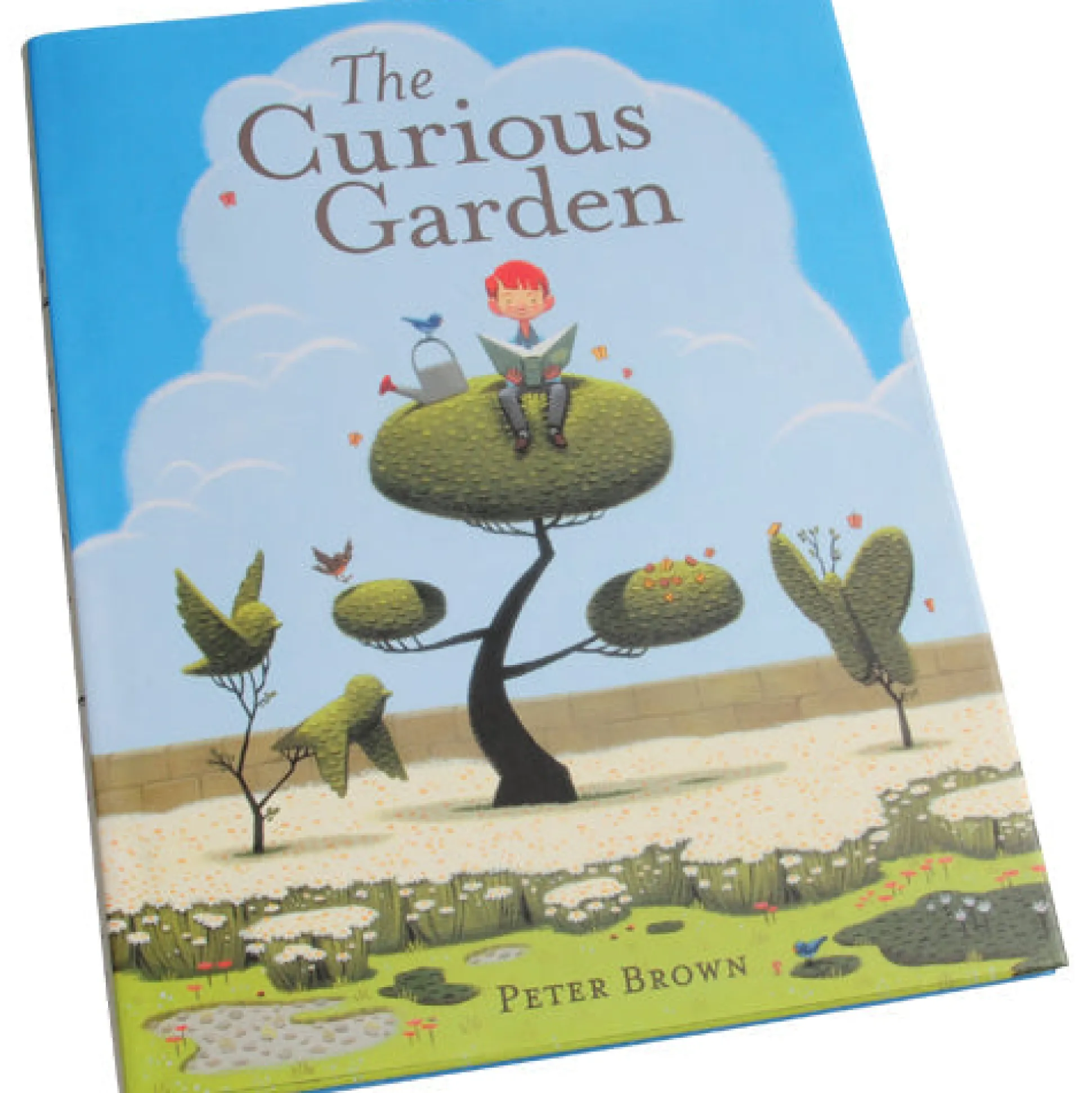 The Curious Garden