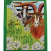 Treasured Tales Big Books-Three Billy Goats Gruff