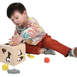 Wooden Animal and Shape Sorter