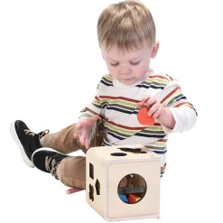 Wooden Animal and Shape Sorter