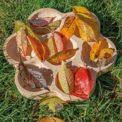 Wooden Flower Sorting Tray | Eco-Friendly Math & Loose Parts Play Tool