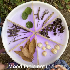 Wooden Sorting Dividers for Sensory Play