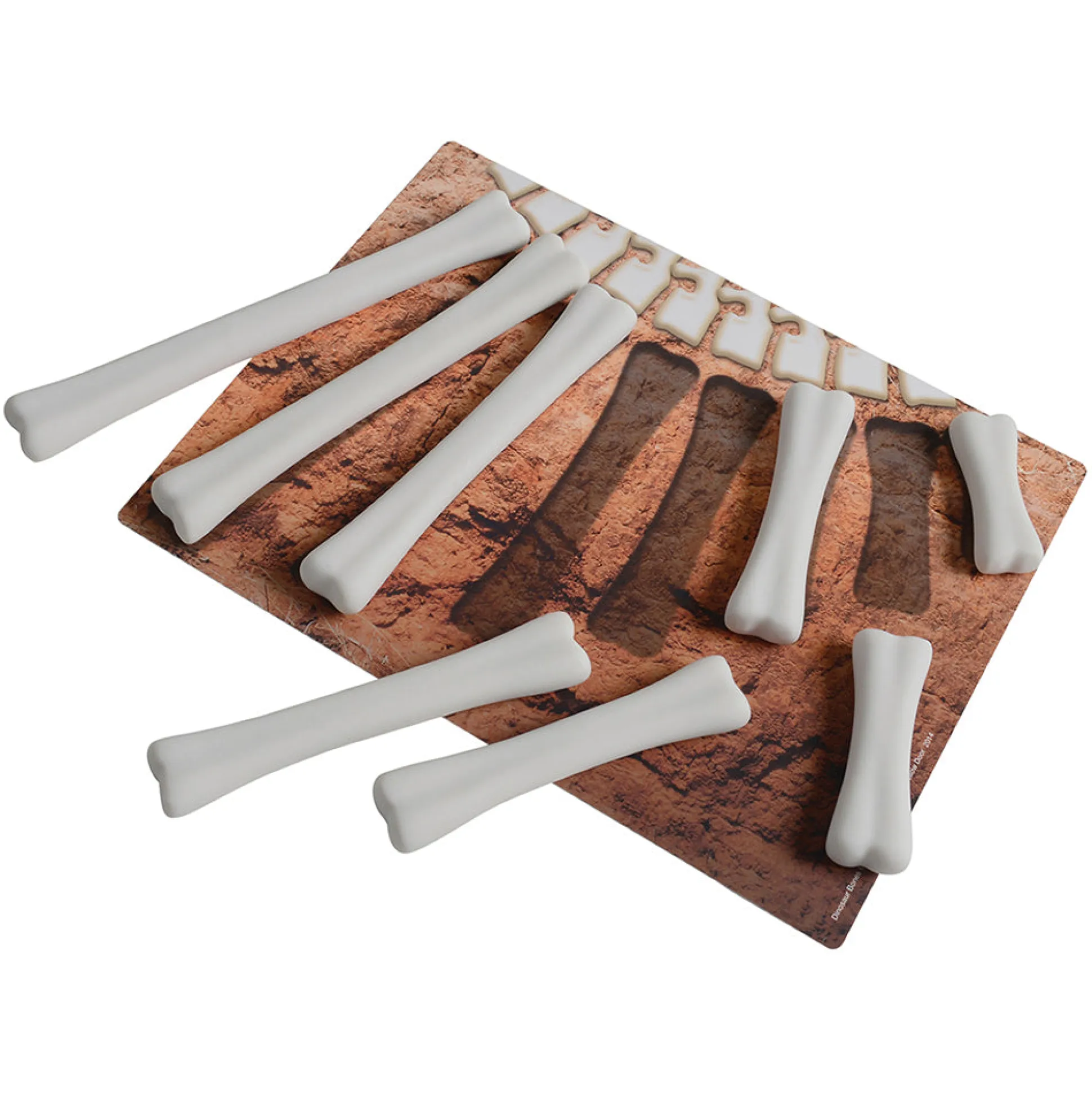 Yellow Door® Dinosaur Bones with Match & Measure Cards Exploration Set