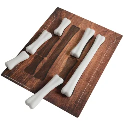Yellow Door® Dinosaur Bones with Match & Measure Cards Exploration Set