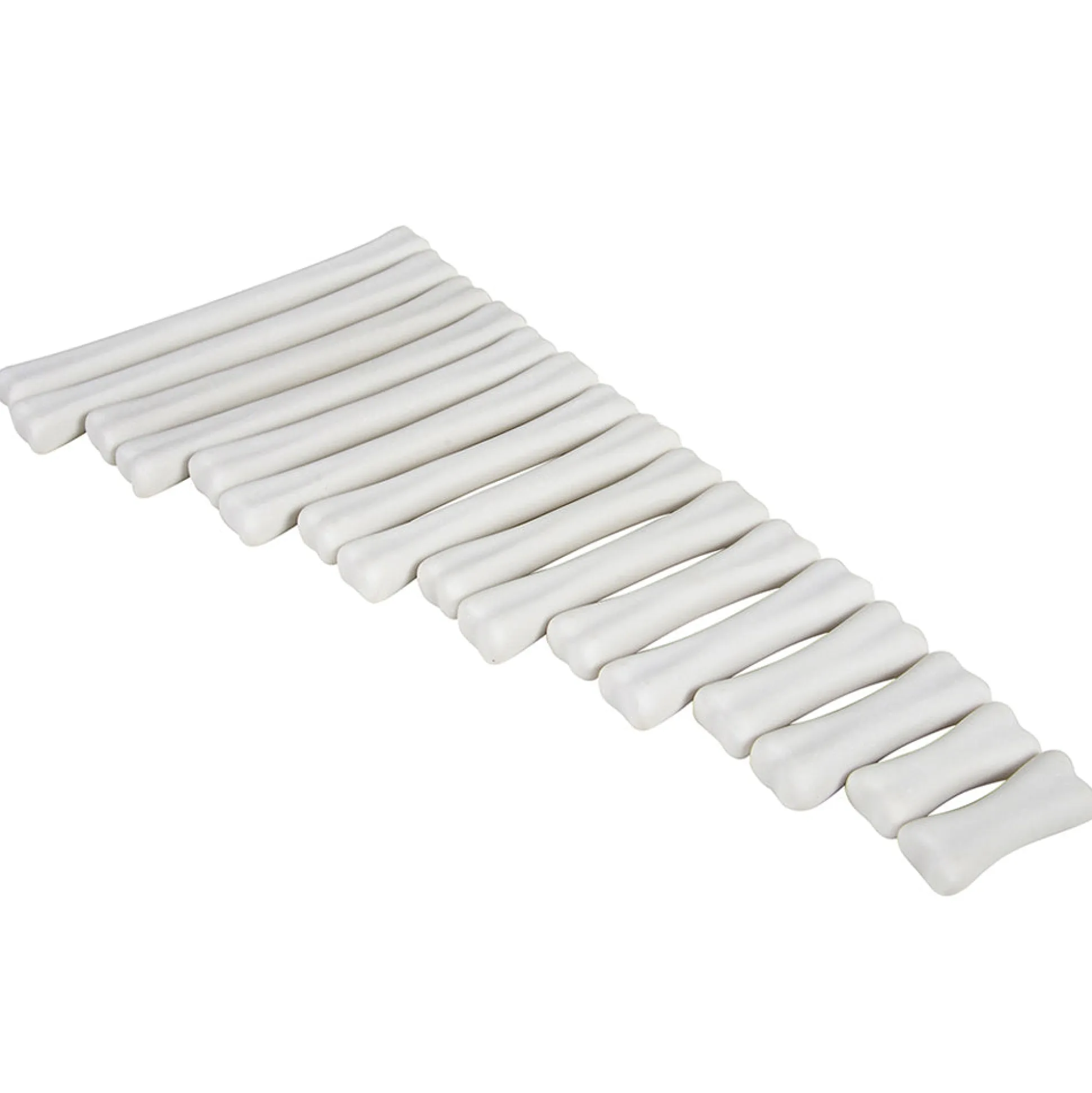 Yellow Door® Dinosaur Bones with Match & Measure Cards Exploration Set