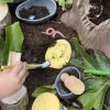 Yellow Door® Let's Investigate Bugs Discovery Kit