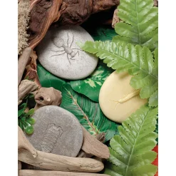 Yellow Door® Let's Investigate Bugs Discovery Kit