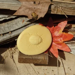 Yellow Door® Let's Investigate Bugs Discovery Kit