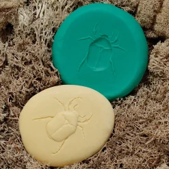 Yellow Door® Let's Investigate Bugs Discovery Kit