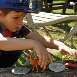 Yellow Door® Let's Investigate Woodland Footprints Double-Sided Animal Stones