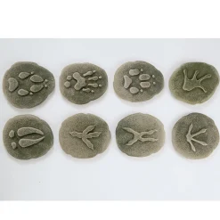Yellow Door® Let's Investigate Woodland Footprints Double-Sided Animal Stones
