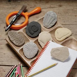 Yellow Door® Let's Investigate Fossils Discovery Kit