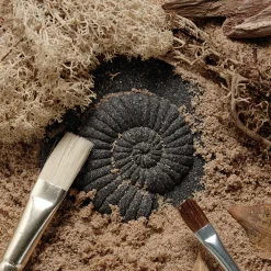 Yellow Door® Let's Investigate Fossils Discovery Kit