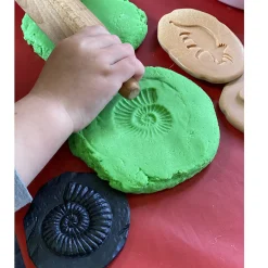 Yellow Door® Let's Investigate Fossils Discovery Kit