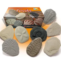 Yellow Door® Let's Investigate Fossils Discovery Kit