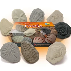 Yellow Door® Let's Investigate Fossils Discovery Kit