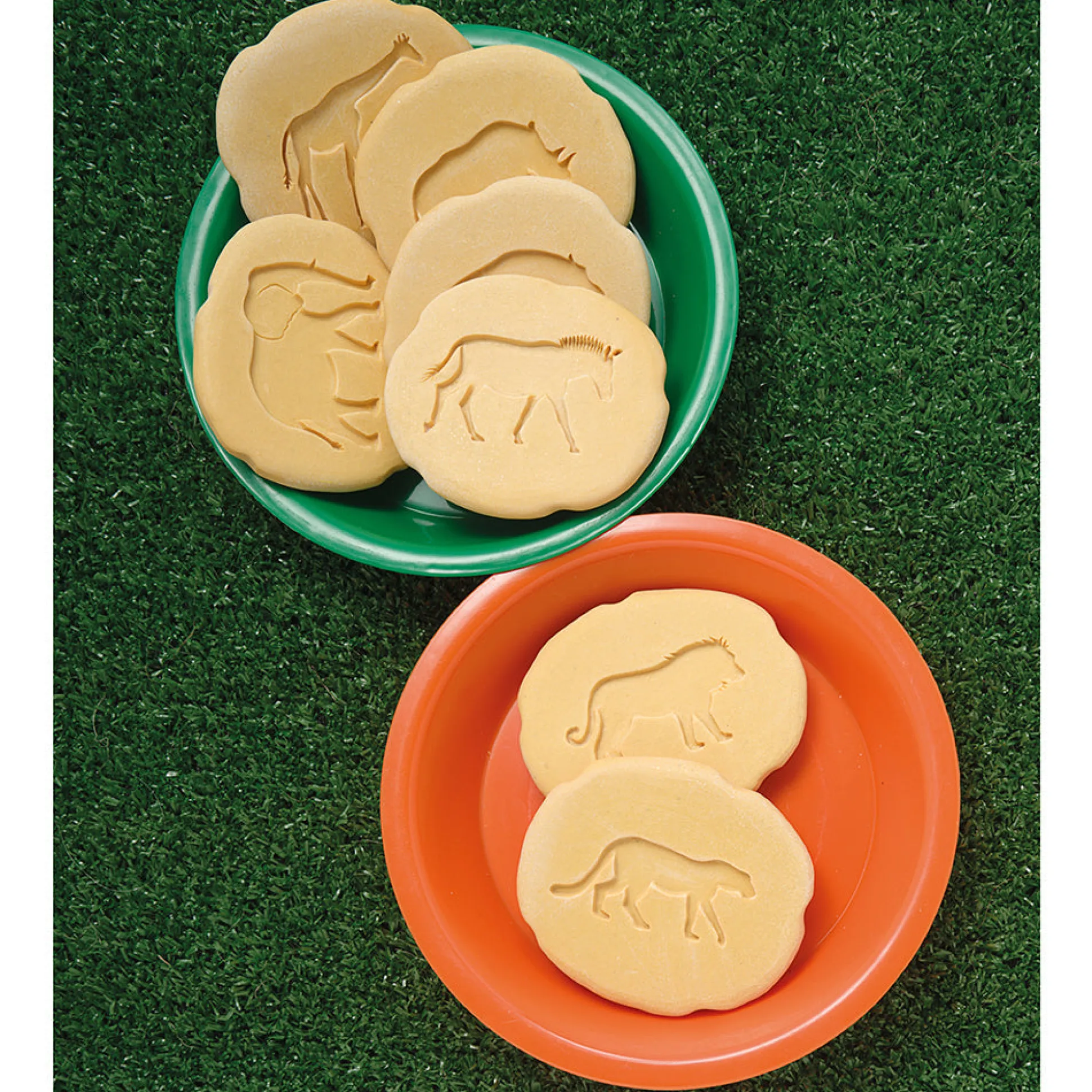 Yellow Door® Let's Investigate Safari Footprints Double-Sided Animal Stones