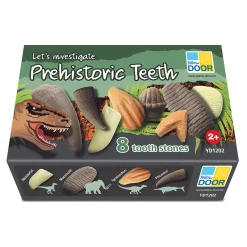 Yellow Door® Let’s Investigate Prehistoric Teeth | 8 Durable Fossil Tooth Replicas for Sensory Play, STEM Learning & Paleontology Exploration