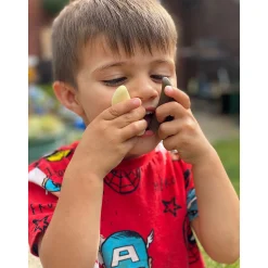 Yellow Door® Let’s Investigate Prehistoric Teeth | 8 Durable Fossil Tooth Replicas for Sensory Play, STEM Learning & Paleontology Exploration