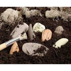 Yellow Door® Let’s Investigate Prehistoric Teeth | 8 Durable Fossil Tooth Replicas for Sensory Play, STEM Learning & Paleontology Exploration