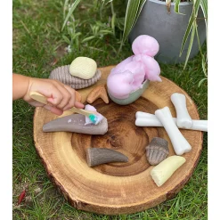 Yellow Door® Let’s Investigate Prehistoric Teeth | 8 Durable Fossil Tooth Replicas for Sensory Play, STEM Learning & Paleontology Exploration