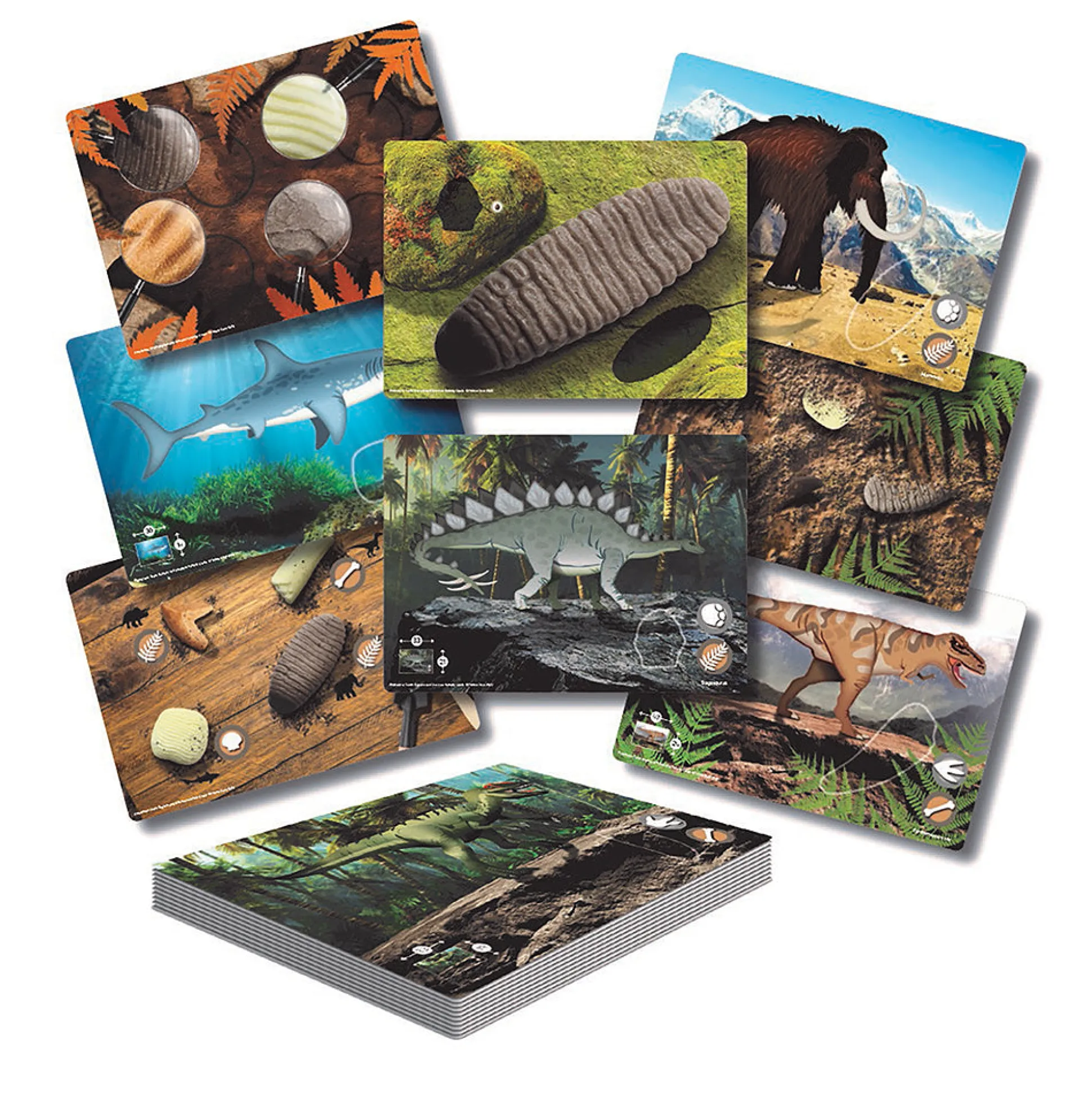 Yellow Door® Prehistoric Teeth Explore & Discover Cards