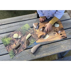 Yellow Door® Prehistoric Teeth Explore & Discover Cards