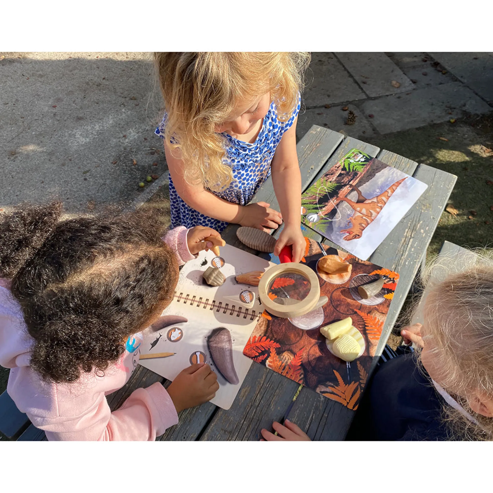 Yellow Door® Prehistoric Teeth Explore & Discover Cards