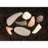 Yellow Door® Prehistoric Teeth Exploration Set