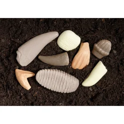 Yellow Door® Prehistoric Teeth Exploration Set