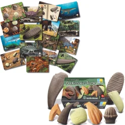 Yellow Door® Prehistoric Teeth Exploration Set