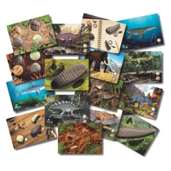 Yellow Door® Prehistoric Teeth Exploration Set